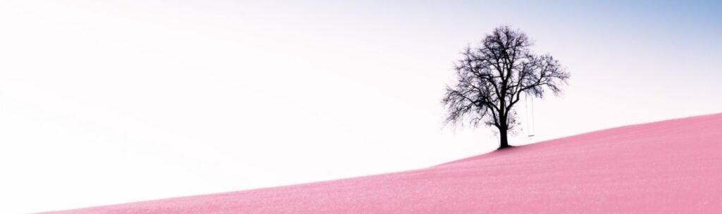 mas no siempre es mejor. arbol sobre campo rosado.