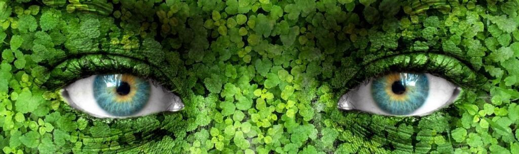 diversidad. ojos teal. rostro naturaleza. turqueza.