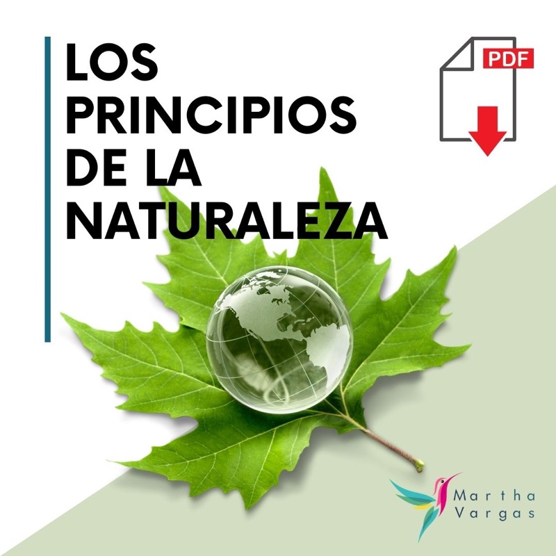 LOS PRINCIPIOS DE LA NATURALEZA.