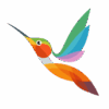 colibri-1