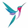colibri-2